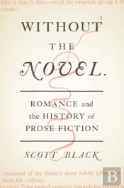 Without The Novel