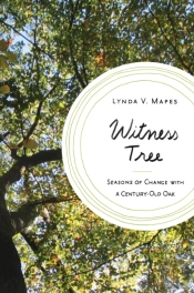 Witness Tree
