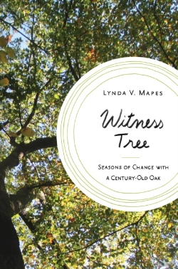 Bertrand.pt - Witness Tree