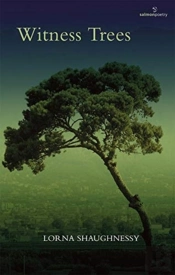 Witness Trees