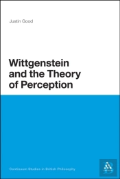 Wittgenstein And The Theory Of Perception