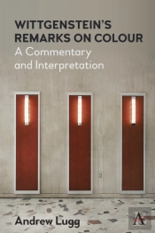 Wittgensteinâ€™S Remarks On Colour