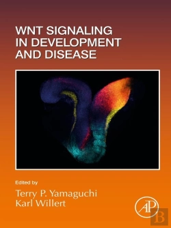 Bertrand.pt - Wnt Signaling In Development And Disease