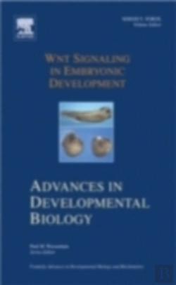Bertrand.pt - Wnt Signaling In Embryonic Development