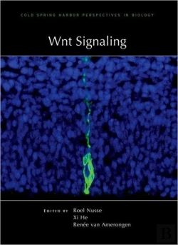 Bertrand.pt - Wnt Signaling