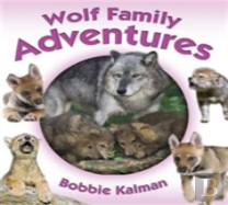 Wolf Family Adventures