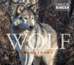 Bertrand.pt - Wolf Sanctuary