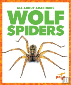 Bertrand.pt - Wolf Spiders