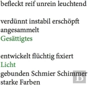 Wolfgang Tillmans Gesattigtes Licht /Allemand