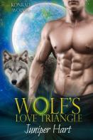 Wolf'S Love Triangle