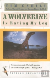 Wolverine Is Eating My Leg