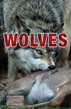 Bertrand.pt - Wolves