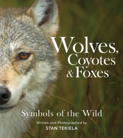 Bertrand.pt - Wolves, Coyotes & Foxes