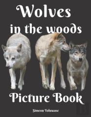 Wolves In The Woods Picture Book