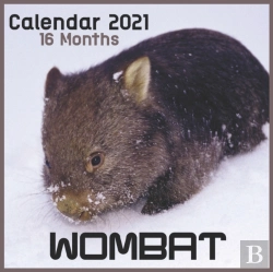 Bertrand.pt - Wombat Calendar 2021 16 Months