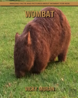 Bertrand.pt - Wombat