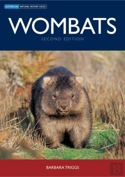 Bertrand.pt - Wombats
