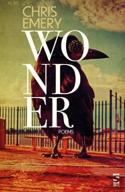 Bertrand.pt - Wonder