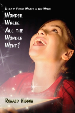 Bertrand.pt - Wonder Where All The Wonder Went?