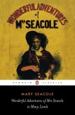 Wonderful Adventures Of Mrs Seacole In Many Lands
