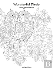 Wonderful Birds Coloring Book For Grown-Ups 1