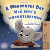 Wonderful Day Nje Dite E Mrekullueshme