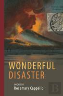 Wonderful Disaster
