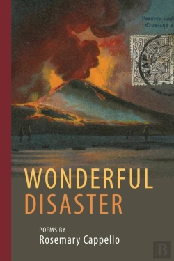 Bertrand.pt - Wonderful Disaster