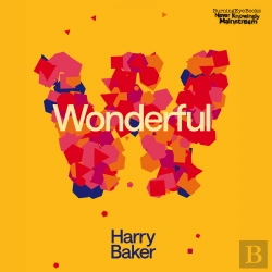 Bertrand.pt - Wonderful