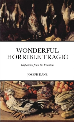 Bertrand.pt - Wonderful Horrible Tragic