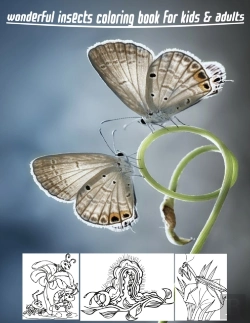 Bertrand.pt - Wonderful Insects Coloring Book For Kids & Adults