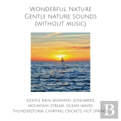 Wonderful Nature: Gentle Nature Sounds (Without Music)