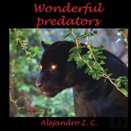 Wonderful Predators