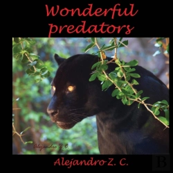Bertrand.pt - Wonderful Predators