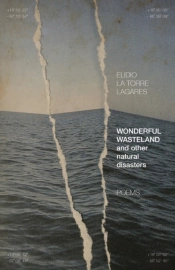 Wonderful Wasteland And Other Natural Disasters