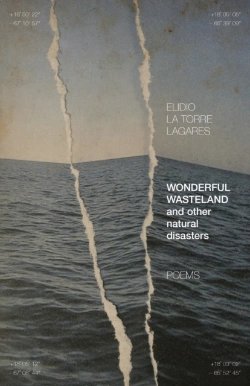 Bertrand.pt - Wonderful Wasteland And Other Natural Disasters