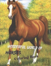 Wonderful World Of Horses Coloring Book