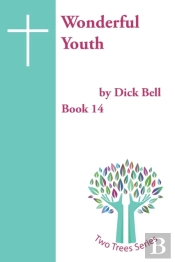 Wonderful Youth