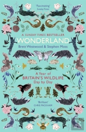 Wonderland