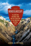Wonderlandscape