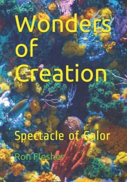 Bertrand.pt - Wonders Of Creation