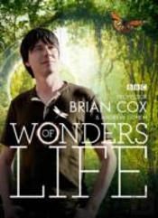Wonders Of Life