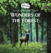 Wonders Of The Forest. Secrets Of The Wild Woods