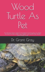 Wood Turtle As Pet