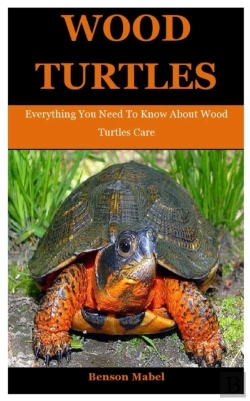 Bertrand.pt - Wood Turtles