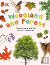 Woodland And Forest