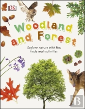 Woodland And Forest