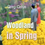 Woodland In Spring