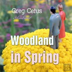 Bertrand.pt - Woodland In Spring
