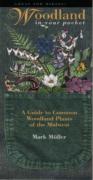 Woodland In Your Pocket